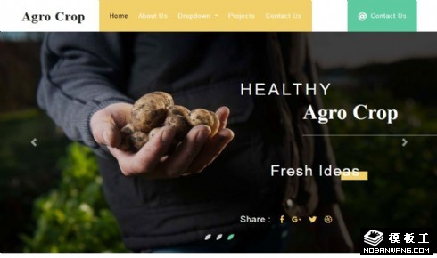 农作物产品展示响应式网站模板